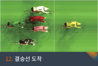 12. 결승선 도착